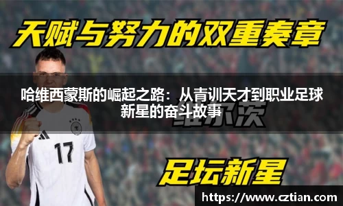 星空体育(中国)官方网站