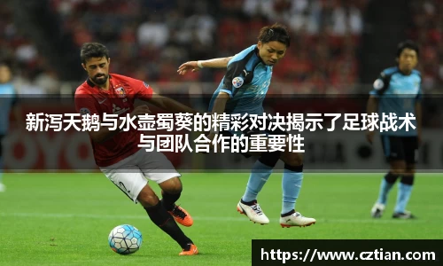 星空体育(中国)官方网站
